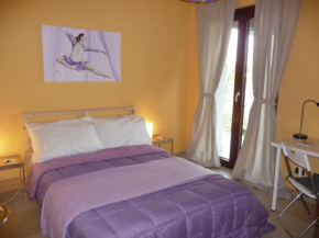 Ametista Casaleggio Novara